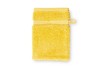 Waschhandschuh America 99600